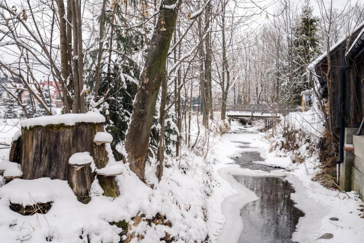 Domek U Swierkow Chocholow Dış mekan fotoğraf